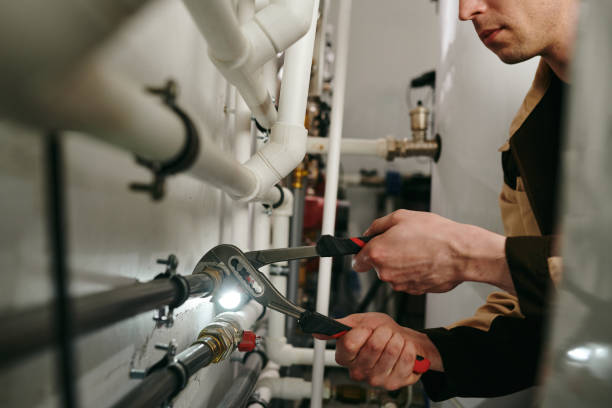 Best Leak Detection Services  in Stockbridge, MI