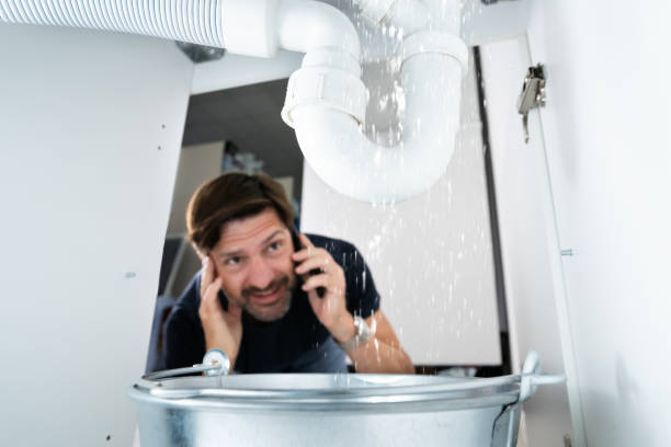 Best Plumbing Inspection Services  in Stockbridge, MI