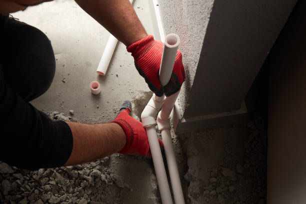 Best Affordable Plumbing Services  in Stockbridge, MI
