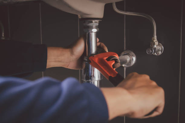 Best Commercial Plumbing Services  in Stockbridge, MI