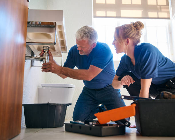 Best Same-Day Plumbing Service  in Stockbridge, MI